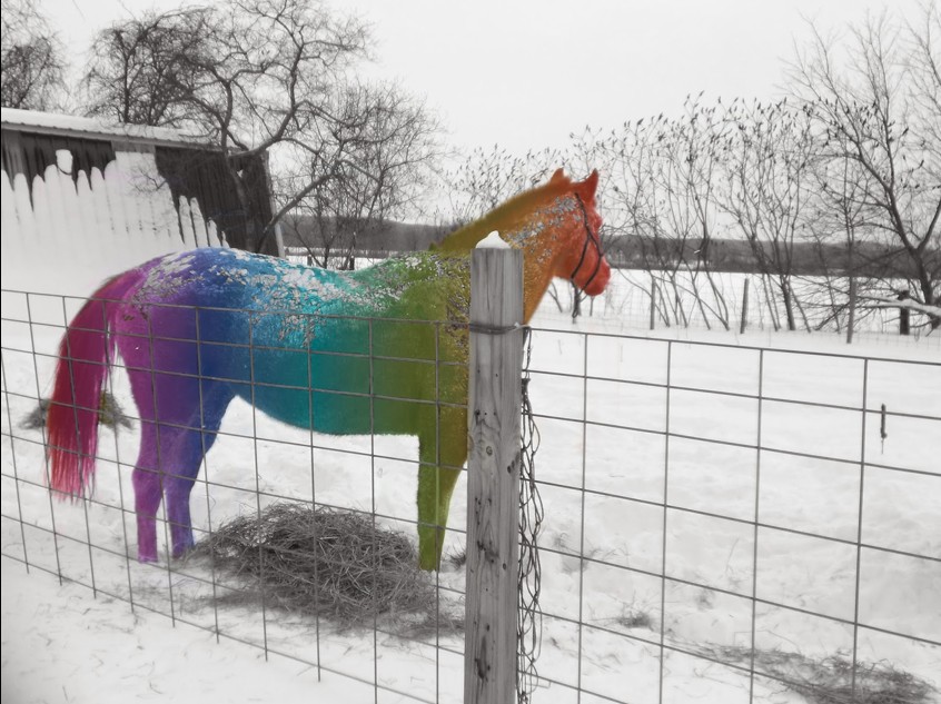 Art Education Student's Work horse statue painted in a rainbow of color